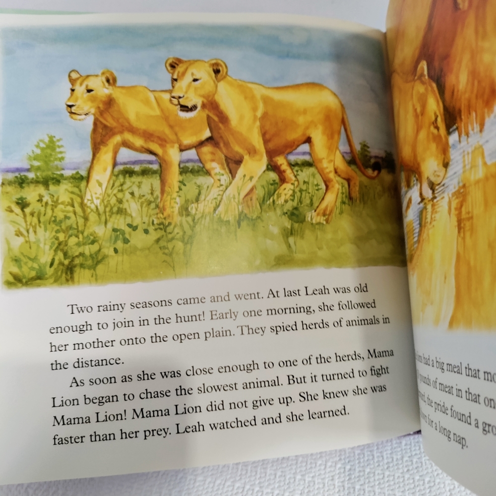 Children's book. The lion grows up.